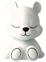 EXPLORERBEAR