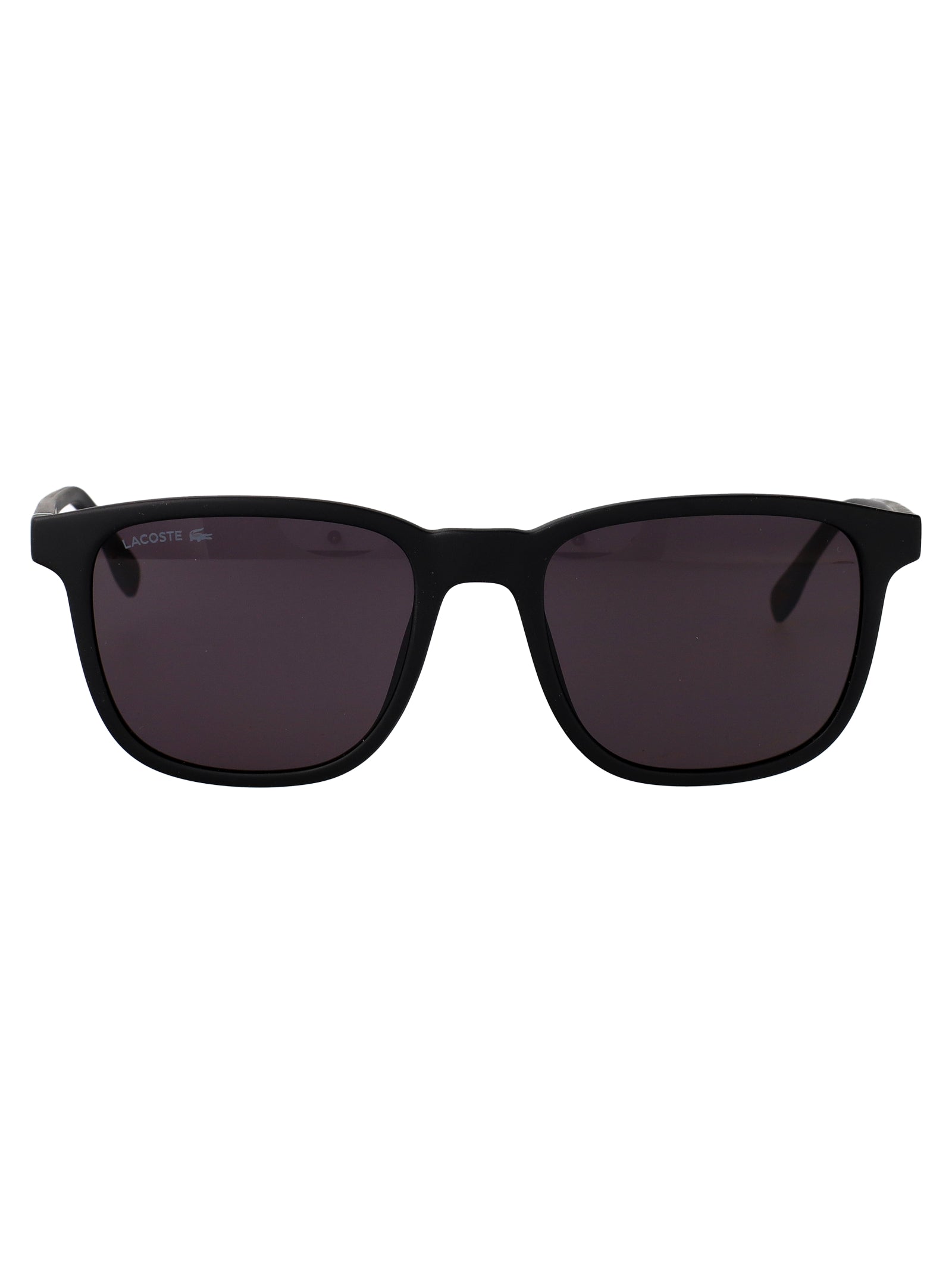 L6029S