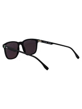 L6029S