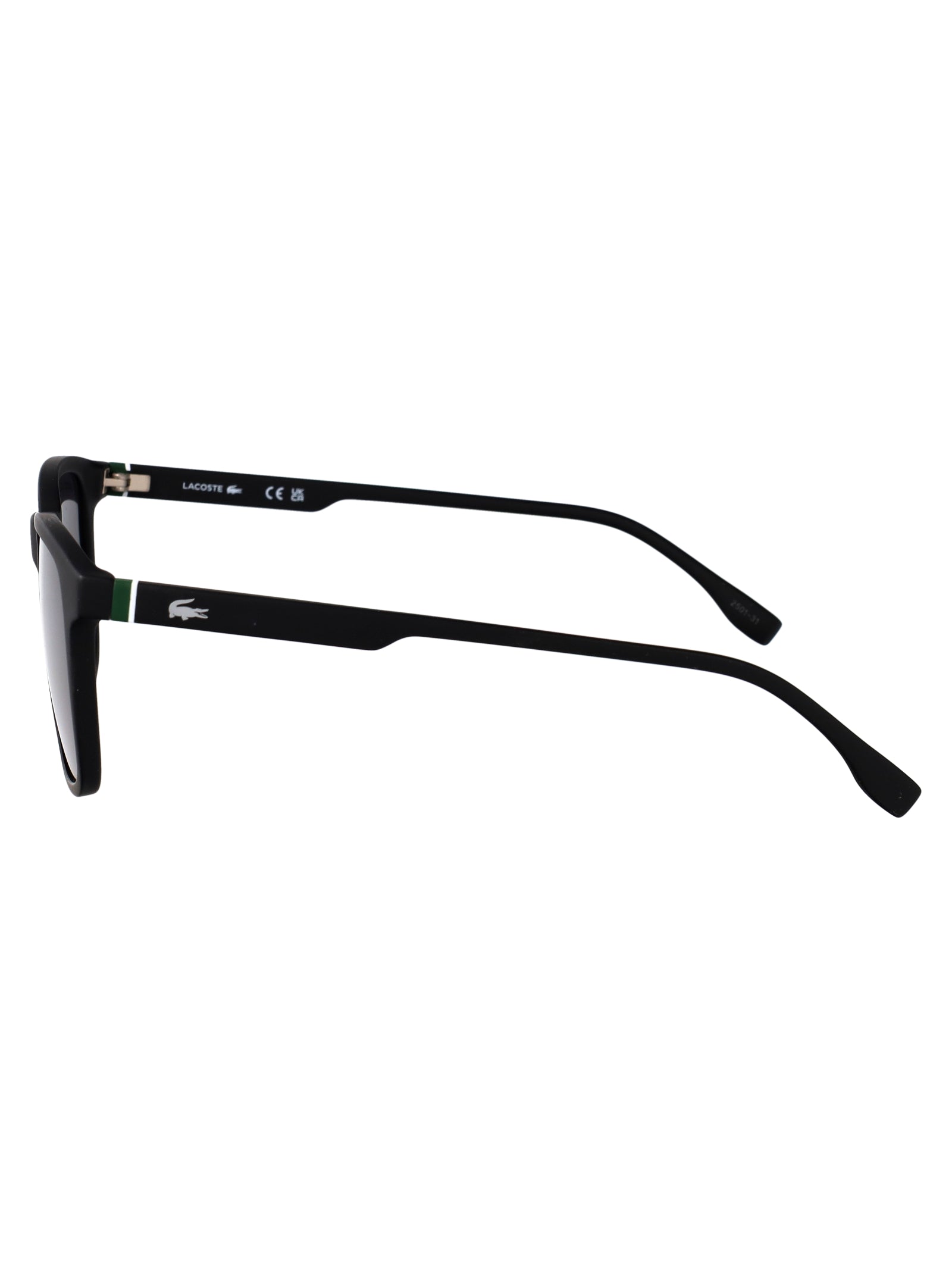 L6029S