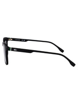 L6029S