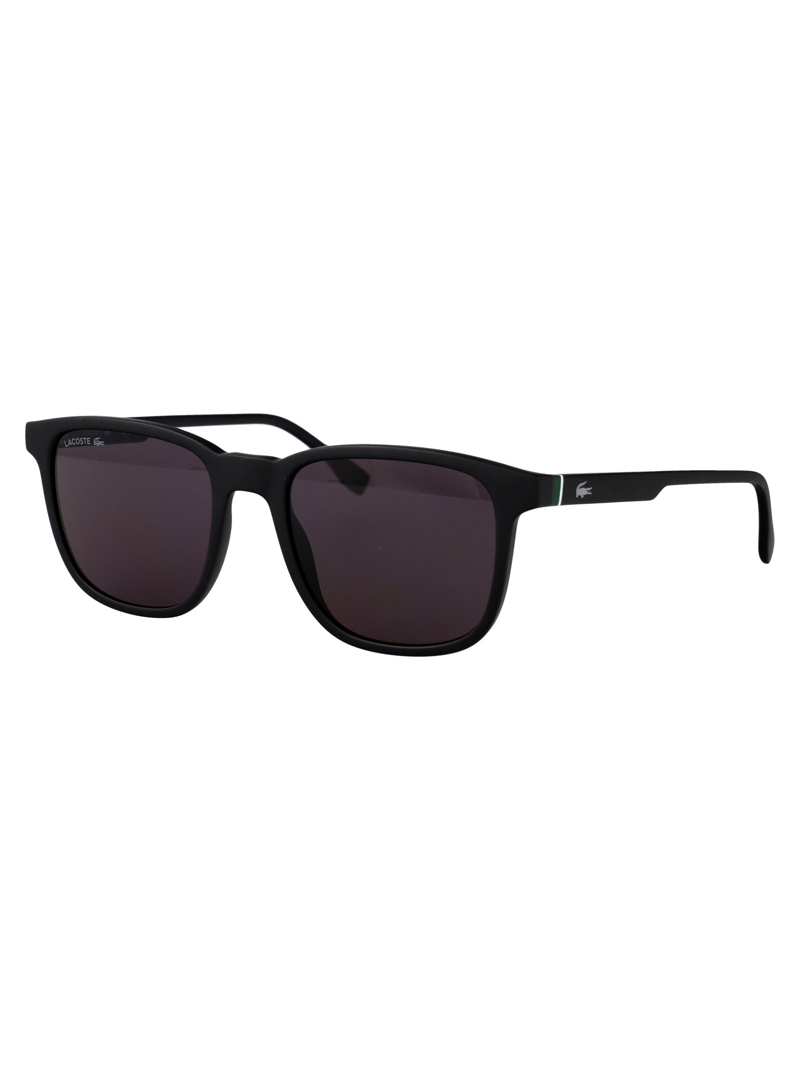 L6029S